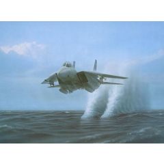 Aviation Art, Tomcat F-14 Tomcat