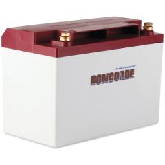 Concorde RG-25 Recombinant Gas Sealed Lead Acid Battery, 12V