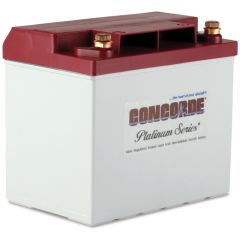 Concorde RG-25 XC Recombinant Gas Sealed Lead Acid Battery, 12V
