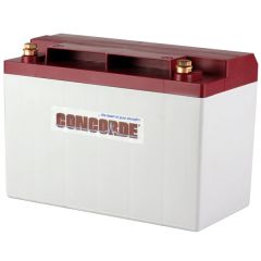 Concorde RG-35A Recombinant Gas Sealed Lead Acid Battery, 12V