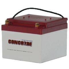 Concorde RG-24-11 Recombinant Gas Sealed Lead Acid Battery, 24V