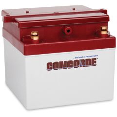 Concorde RG-24-11M Recombinant Gas Sealed Lead Acid Battery, 24V