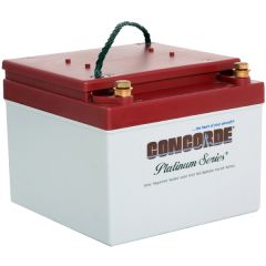 Concorde RG-24-15 Recombinant Gas Sealed Lead Acid Battery, 24V