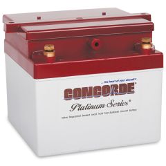 Concorde RG-24-15M Recombinant Gas Sealed Lead Acid Battery, 24V