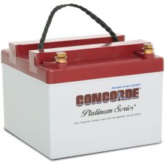 Concorde RG-24-16 Recombinant Gas Sealed Lead Acid Battery, 24V