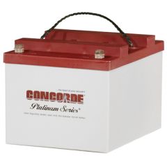 Concorde RG-24-20 Recombinant Gas Sealed Lead Acid Battery, 24V