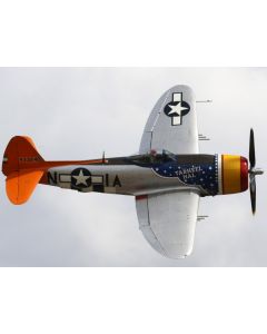 P-47D 95" 2.41m 1/5th Scale ARF, with Electric Retracts & Cockpit, Tarheel Hal